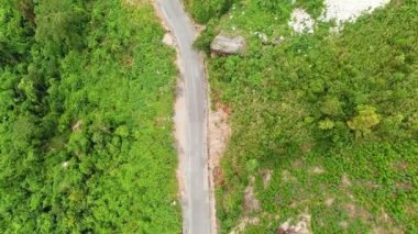 Tropikal dağ manzaralı çakıllı yolda uçan bir dron görüntüsü. Yeşil orman yolunun havadan görünüşü, tatil, macera.