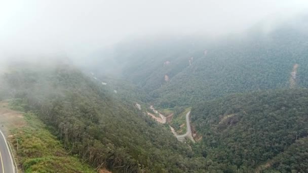 Drone Flying Foggy Winding Mountain Road Misty Rainforest Trees Cinematic — стоковое видео