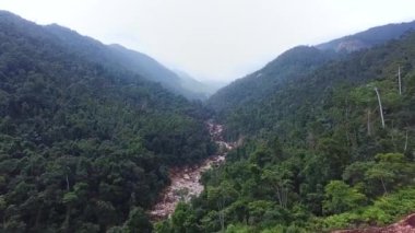 İnsansız hava aracı görkemli sisli tropikal dağlar üzerinde uçuyor. Sinema kuşlarının gözü puslu atmosferik yağmur ormanlarında..