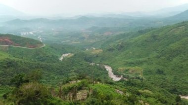 İnsansız hava aracı görkemli sisli tropikal dağlar üzerinde uçuyor. Sinema kuşlarının gözü puslu atmosferik yağmur ormanlarında..