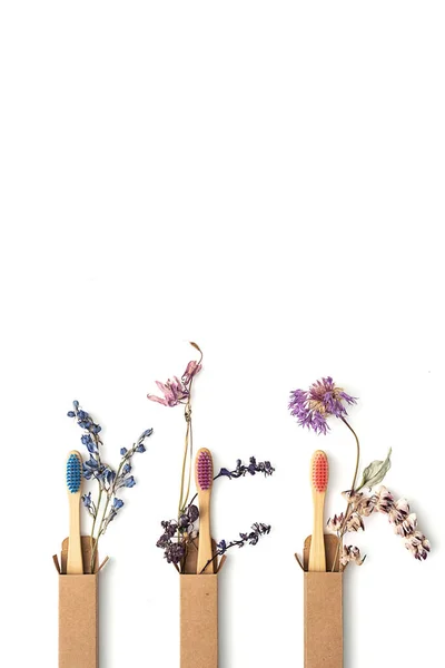 Escovas Dentes Bambu Ecológicas Coloridas Com Flores Secas Zero Wast — Fotografia de Stock