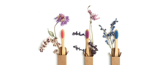 Πολύχρωμες Φιλικές Προς Περιβάλλον Οδοντόβουρτσες Μπαμπού Αποξηραμένα Λουλούδια Zero Wast — Φωτογραφία Αρχείου
