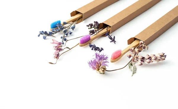 Colorful Eco Friendly Bamboo Toothbrushes Dried Flowers Zero Wast Wooden — Φωτογραφία Αρχείου