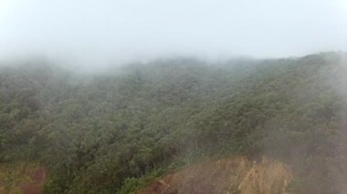 Tropikal doğada sabah sisinin hava görüntüleri. Sisli sis tropikal ormanı silip süpürüyor. Sisli bir günde dağın tepelerinde, ormanın üzerinde uçan bir dron.. 