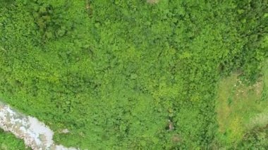Drone view for tropical rainforest. Aerial footage atmospheric mountain jungle landscape.