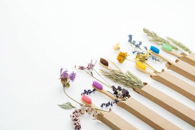 Multicolored bamboo toothbrushes with dried flowers. Zero wast wooden toothbrushes personal hygiene oral care accessories. Plastic free, eco friendly, sustainable lifestyle concept