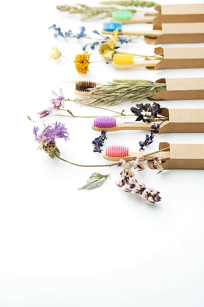 Multicolored Bamboo Toothbrushes Dried Flowers Zero Wast Wooden Toothbrushes Personal — Stock fotografie