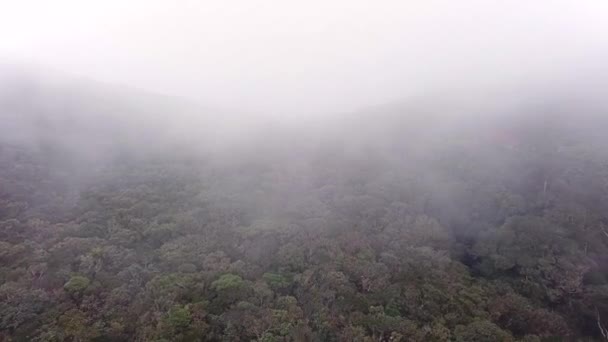 Köd Sodródik Esőerdőkben Hegyekben Légköri Misztikus Trópusi Táj Légi Kilátás — Stock videók