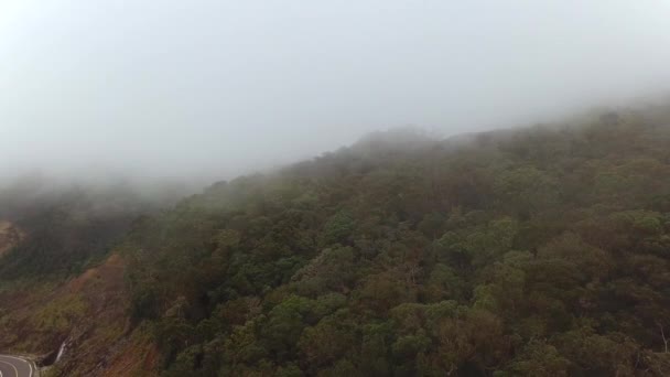 Nebbia Che Rovescia Sulla Foresta Pluviale Montagna Atmosferico Mistico Paesaggio — Video Stock