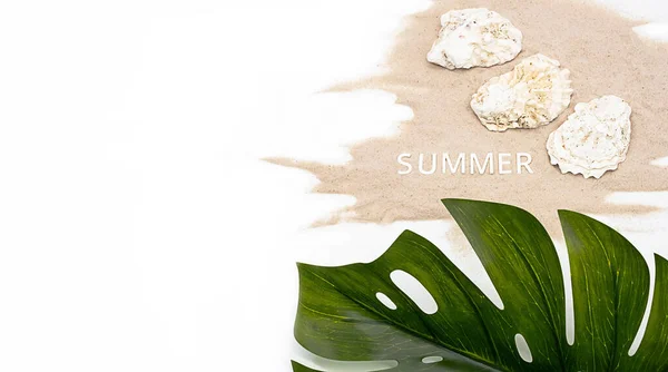 Sommerstimmung Kreativ Arrangieren Monstera Palmblatt Schöne Muscheln Sommer Wort Auf — Stockfoto