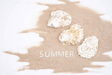 Yaz ruh hali yaratıcı düzenlemesi. Güzel deniz kabukları, yaz - beyaz kumlar üzerinde kelime. 