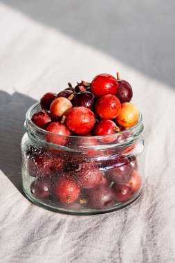 Cam kavanozda donmuş meyveler. Donmuş Bektaşi üzümüne yakın çekim.