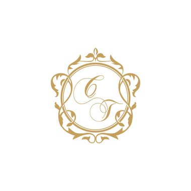 CT Düğün davetiyesi zarif süsleme dairesi vektör grafik şablonu ile