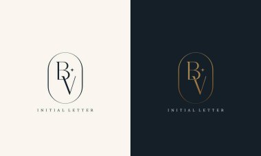 Altın daire çerçeveli birinci sınıf BV logosu. Lüks paraf tasarımı minimal modern yazı tipi.