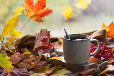 Güzel bir bokeh ile sonbahar sakin bir hayat. Sonbahar yaprakları ve bir fincan sıcak kahve ya da çay, portakal kabakları mevsimlik, sabah kahvesi, pazar uykusu ve durgun hayat.