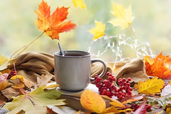 Autumn Still Life Beautiful Bokeh Autumn Leaves Cup Hot Steaming — Stock Photo, Image