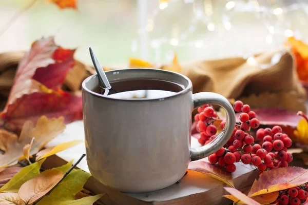 Autumn still life with a beautiful bokeh. Autumn leaves and a cup of hot steaming coffee or tea, orange pumpkins and an autumn harvest. Seasonal, morning coffee — Stock Photo, Image