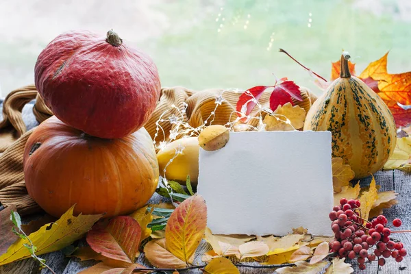 Mesaj için boş bir kart, düzmece planlar, sonbahar arkaplanındaki sarı yapraklar, turuncu balkabakları üzerine bir karşılama mektubu. Sonbahar havası ve dökülen yapraklar