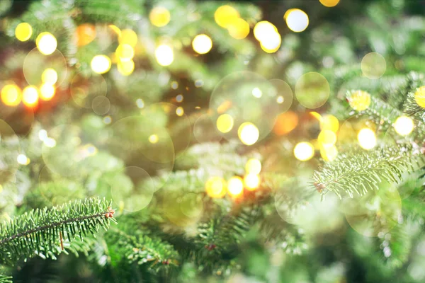 Weihnachten Und Neujahr Hintergrund Aus Grünem Weihnachtsbaum Und Goldenem Bokeh — Stockfoto
