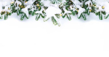 Kardaki Noel ağacı dallarının şenlikli arka planı. Noel ve Yeni Yıl teması. Düz düzen, üst görünüm