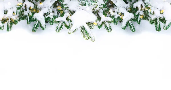 Festlig Bakgrund Julgran Grenar Snön Temat För Jul Och Nyår — Stockfoto