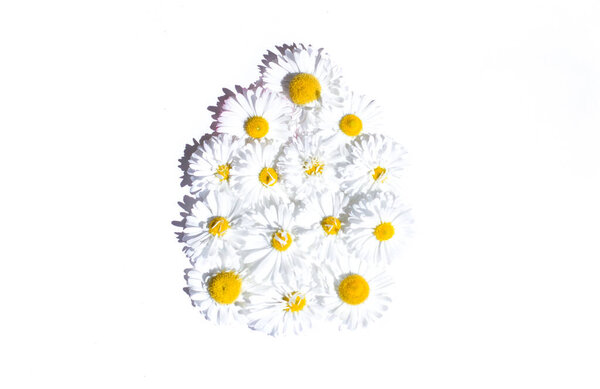 Easter minimal background with a silhouette of an egg made of white flowers. Creative concept of Happy Easter Flat Lay top view