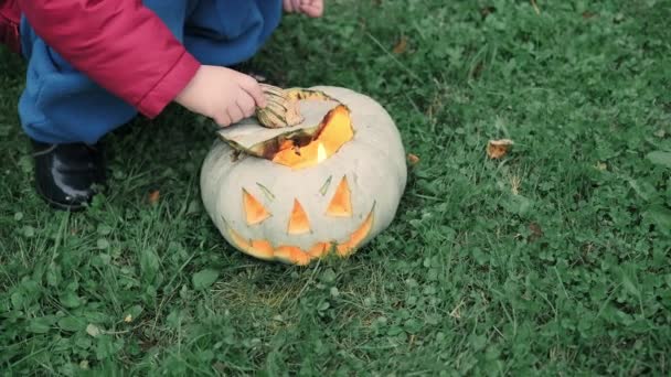 Niña con chaqueta juega con calabaza brillante para Halloween en la hierba en el parque — Vídeos de Stock