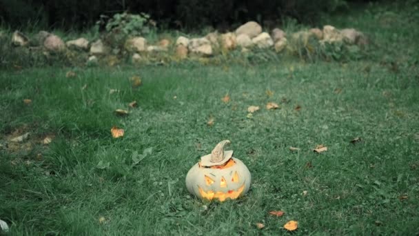 Маленька дівчинка в куртці грає зі світиться гарбузом на Хелловін на траві в парку — стокове відео