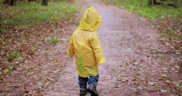 Un bambino con un mantello di cresta di dinosauro cammina in un parco umido e autunnale — Video Stock