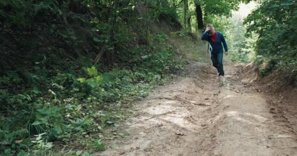 Caminhante em um chapéu de cowboy caminha uma encosta íngreme no meio de uma floresta de verão — Vídeo de Stock