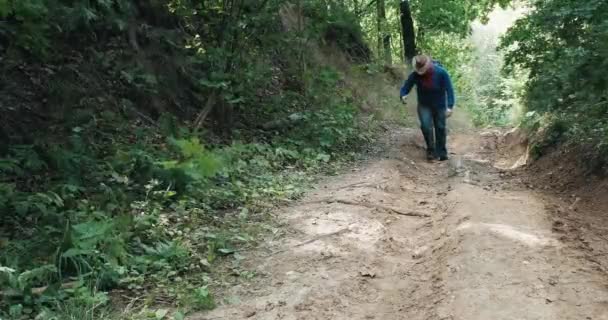 カウボーイハットのハイカーは、夏の森の真ん中に急な坂を歩く — ストック動画