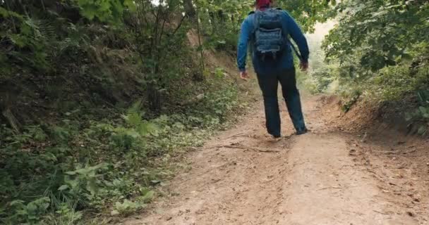Πεζοπόρος σε μια κόκκινη μπαντάνα περπατά μια απότομη πλαγιά στη μέση ενός θερινού δάσους — Αρχείο Βίντεο