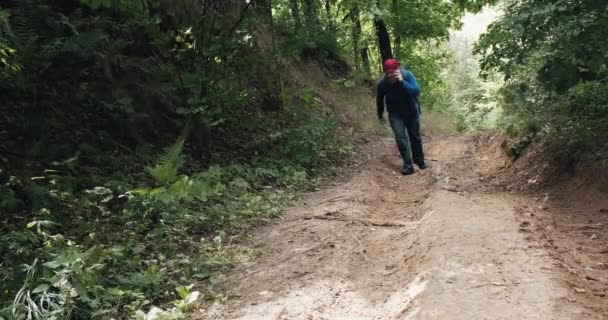 นักปีนเขาใน bandana และโทรศัพท์ในมือเดินลาดชันในกลางป่าฤดูร้อน — วีดีโอสต็อก