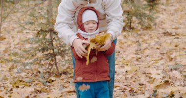 Küçük, sevimli bir çocuk ve annesi Kanada akçaağaç yapraklarını ellerinde tutuyorlar.