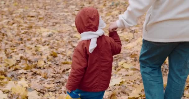 Small child walking with his mother in the autumn forest — Stock Video