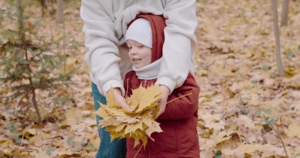 Small, cute child with his mother throws up yellow leaves of the Canadian maple — Stock Video