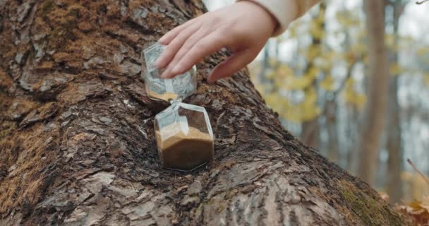 La mano de una mujer gira un reloj de arena de pie en un bosque de otoño. Primer plano. — Vídeos de Stock