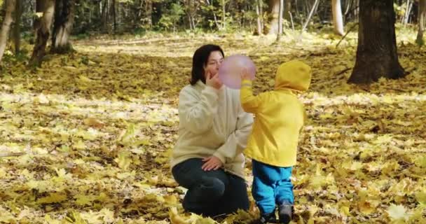 El niño pequeño está jugando con su madre en globos inflables. Naturaleza otoñal — Vídeos de Stock