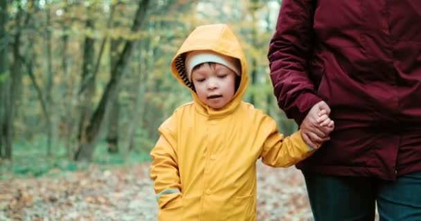 Petit enfant marchant avec sa mère dans le parc d'automne — Video