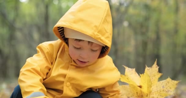 Une petite fille douce ramasse des feuilles d'érable canadiennes dans la forêt d'automne — Video