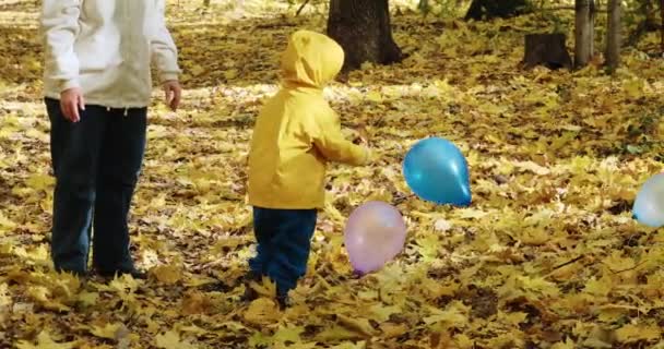 小さな子供はインフレータブル風船で母親と遊んでいます。秋の自然 — ストック動画