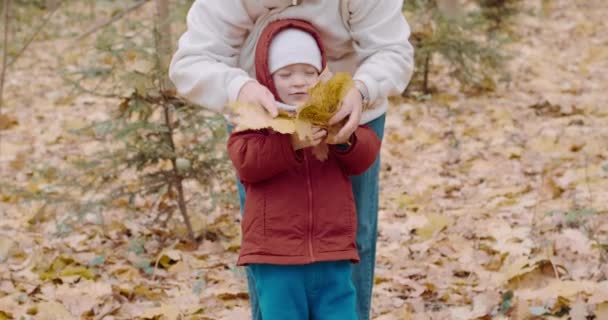 어머니와 함께 자그마하고 귀여운 아이가 캐나다 단풍나무의 노란 잎을 던지고 있다 — 비디오