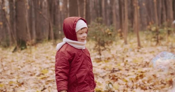 Klein, schattig meisje barst zeepbellen in een herfstpark. Zeepkogels ontploffen. — Stockvideo