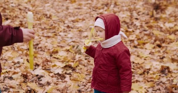 秋の公園でシャボン玉を吹いている少女。子供の隣にお母さんがいる — ストック動画
