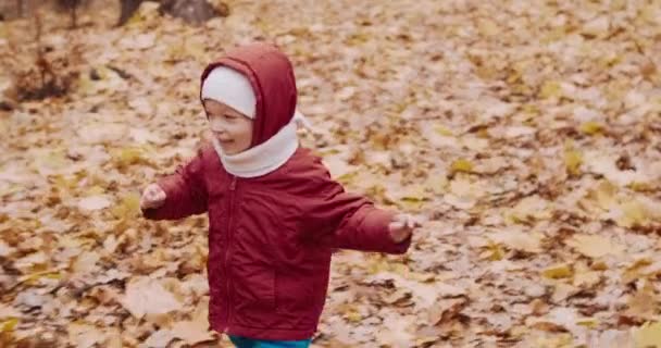 Bambino piccolo correre da solo nella foresta autunnale. Intorno a congedo di acero canadese — Video Stock