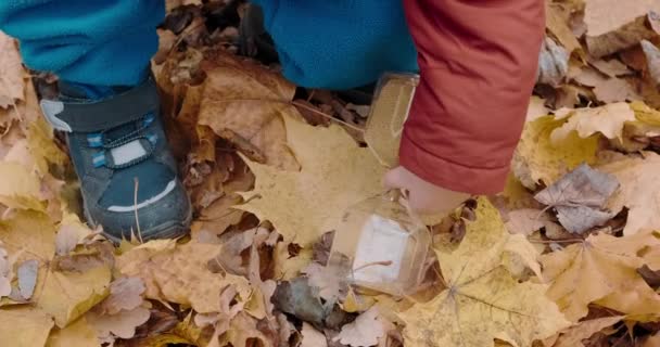 Маленька, кавказька дівчина грає зі скляним пісковиком в осінньому лісі. — стокове відео