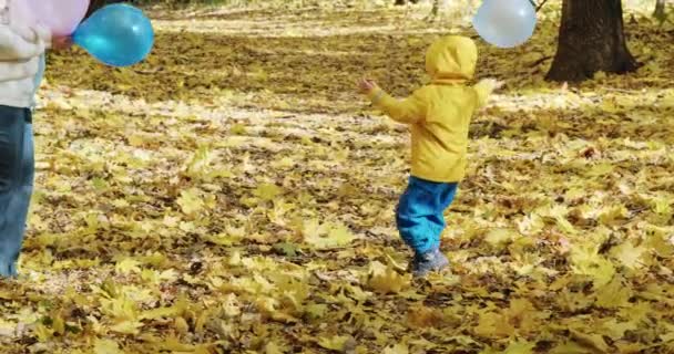Bambino piccolo sta giocando con sua madre in palloncini gonfiabili. Natura autunnale — Video Stock