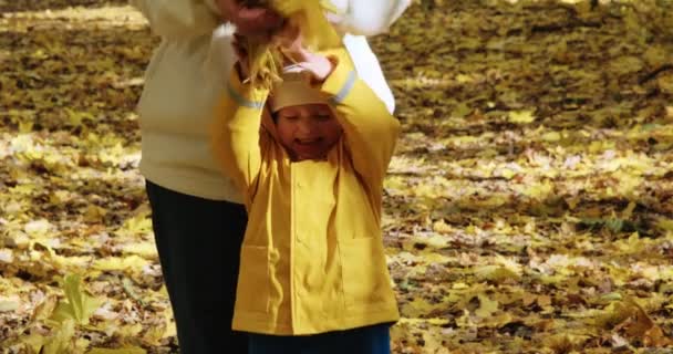 어머니와 함께 자그마하고 귀여운 아이가 캐나다 단풍나무의 노란 잎을 던지고 있다 — 비디오