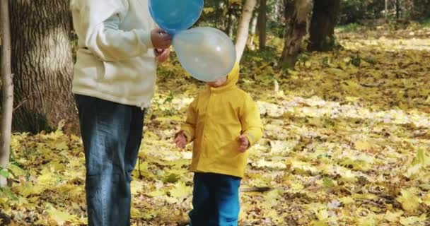 Bambino piccolo sta giocando con sua madre in palloncini gonfiabili. Natura autunnale — Video Stock