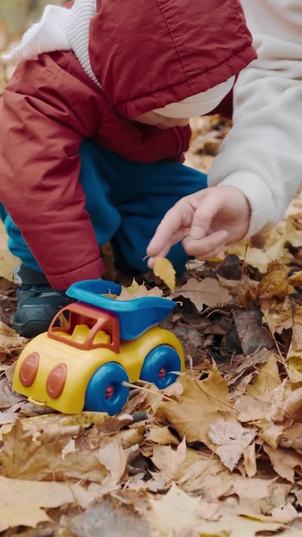 Retrato vertical - Niño pequeño juega con su madre en el bosque de otoño — Vídeo de stock